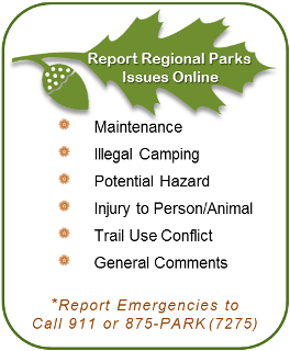 Report Regional Parks Issues online image